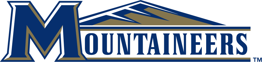 Mount St. Marys Mountaineers 2006-2016 Wordmark Logo v4 iron on transfers for T-shirts
